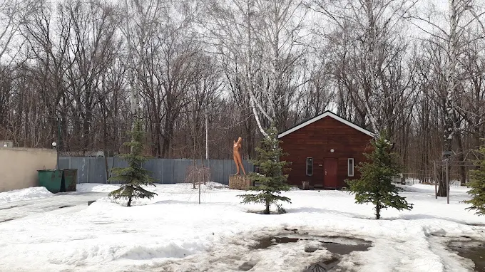 Баня Акапулько — сауны и бани Харькова